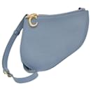 Dior Saddle