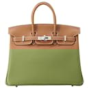 Hermès Birkin 25