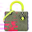 Dior Pink Medium Tricolor Lambskin Cannage Lady Dior