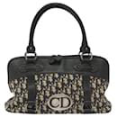 Dior Trotter