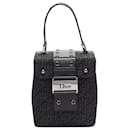 Christian Dior John Galliano trotter Street Chic canvas box bag