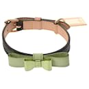 Louis Vuitton Monogram Collier Baxter XS Dog Collar
