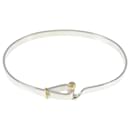 Tiffany & Co Gancho e olho