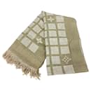 Louis Vuitton Monogram Stole Scarf
