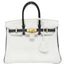Hermès Birkin 25