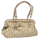 Dior Trotter