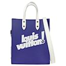 Louis Vuitton Navy and White Leather Handbag