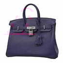 Hermes Birkin 25 Handbag in Anemone - Hermès