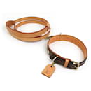 Louis Vuitton Monogram Collar and Leash Set