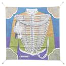 Hermes Carre Double Face 904041S Scarf - Hermès