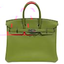 Hermes Birkin 25 Togo Handbag in Geranium - Hermès
