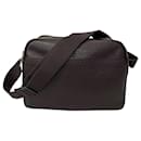 Louis Vuitton Taiga Reporter PM Shoulder Bag