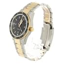 OMEGA Seamaster 300m Master Co-Axial Men's Watch - Omega