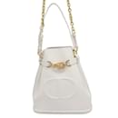 Christian Dior C'est Sedior Medium Handbag