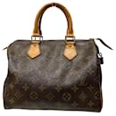 Louis Vuitton Speedy 25 Handbag