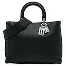 Dior Black Large Canyon Grained Lambskin Lady Dior