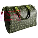 Speedy 25 Cherry Murakami - Louis Vuitton