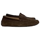  Tod's Gommino Driving Loafers in Brown Suede