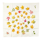 Hermès White A Walk In The Park Silk Scarf