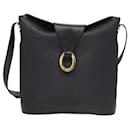Dior Trotter