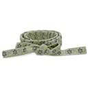 Fendi Strap you