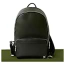 Louis Vuitton Alex Taiga Leather Backpack