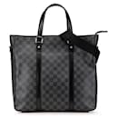 Louis Vuitton Damier Graphite Tadao PM 2WAY Bag