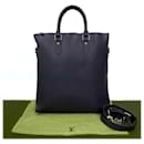 Louis Vuitton Anton Taiga 2way Business Bag