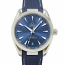 OMEGA Seamaster Aqua Terra Co-Axial Master Chronometer Men's Watch - Omega