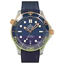 OMEGA Seamaster Diver 300 Coaxial Master Chronometer - Omega