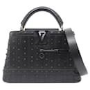 Louis Vuitton Arty Capucines Peter Marino MM Handbag
