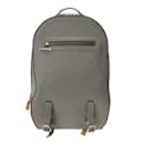 Louis Vuitton Monogram Titanium Backpack GM