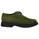 Saint Laurent Teddy Suede Derbies