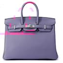 Hermes Birkin 25 Magnolia Togo Handbag - Hermès