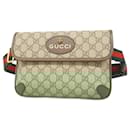 Gucci Ophidia