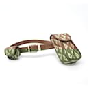 Christian Dior Dior Homme CD Diamond Belt Bag (10205940)