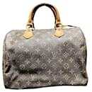 Louis Vuitton Speedy 30 Monogram Handbag