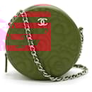 Chanel Leather Camellia Coco Mark Mini Classic Chain Shoulder Bag AP0245