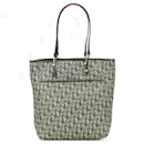 Dior Trotter Canvas Leather 2way Bag