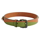Dog Collar - Gucci