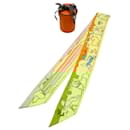 Écharpe Hermès Twilly Chien Parisien