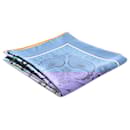 Hermès Blue Guepards Bandana Double Face Silk Scarf