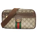 Gucci Ophidia Body Bag 574796