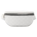 Louis Vuitton Damier Infini Canvas Bum Bag