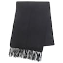 Louis Vuitton Cashmere Stole