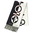 Louis Vuitton Duo Infinity Scarf