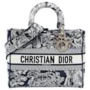 Dior Blue Large Embroidered Canvas Toile de Jouy Lady D Lite