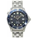 OMEGA Seamaster Professional 300 Co-Axial Chronometer Men's Watch - Omega