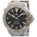 Omega Seamaster Professional 300M Automatic Men's Watch 2230.50