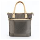 Louis Vuitton Damier Geant Cougar Tail Tote Bag